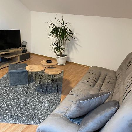 Despot Apartmani Mladenovac Zewnętrze zdjęcie