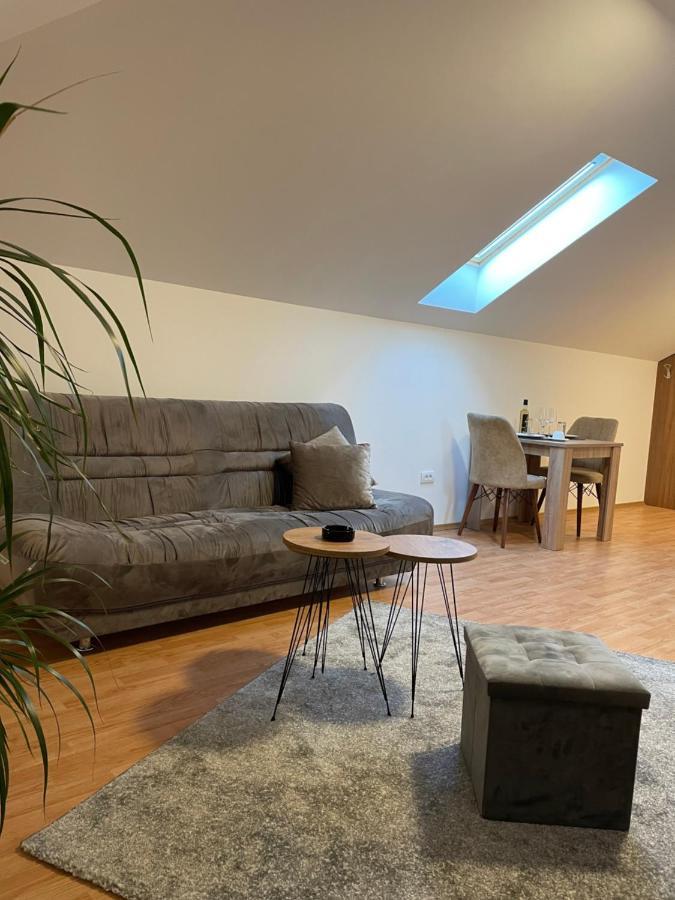 Despot Apartmani Mladenovac Zewnętrze zdjęcie